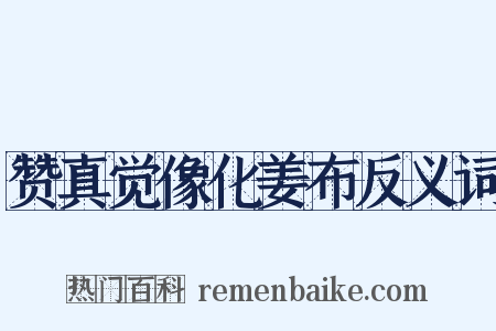 赞真觉像化姜布反义词是什么意思的图片